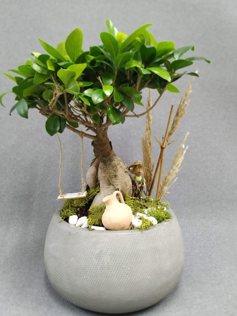 Prebonsay  en con macetero